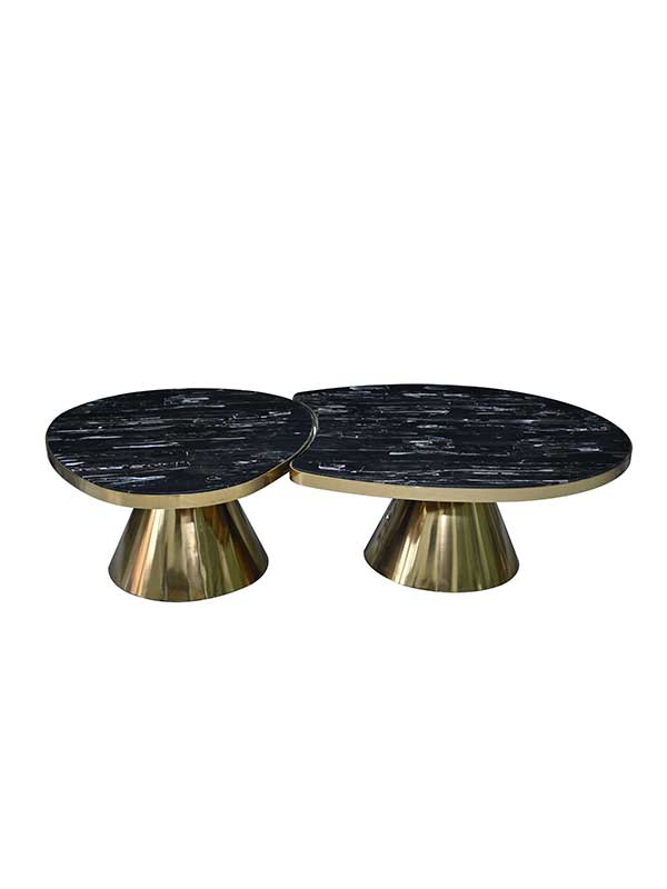Moana Coffee Table
