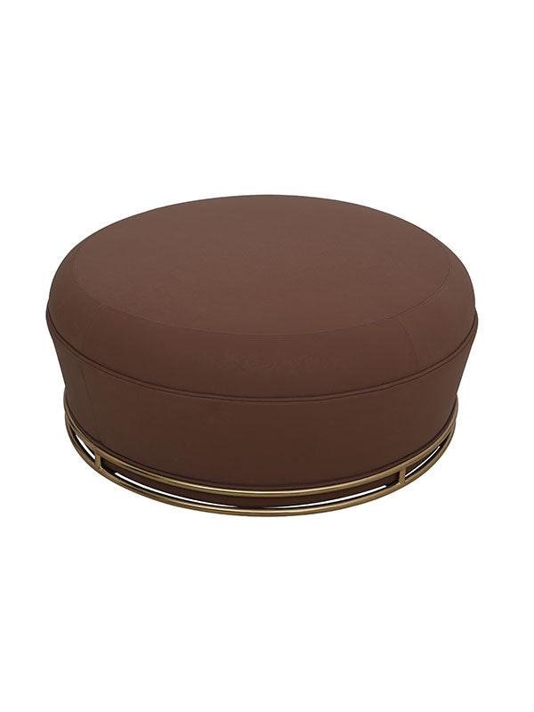Salmon Pouffe